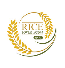 Rice. Logo design template vector illustration.