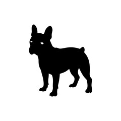 French Bulldog Dog Silhouette Isolated on Transparent Background