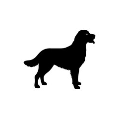 Golden Retriever Dog Silhouette Isolated on Transparent Background