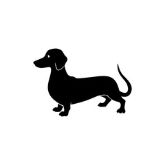 Dachshund Dog Silhouette Isolated on Transparent Background