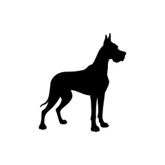 Great Dane Dog Silhouette Isolated on Transparent Background