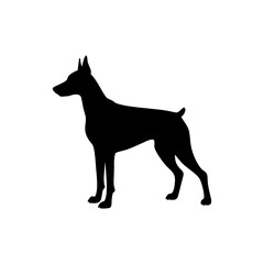 Doberman Pinscher Dog Silhouette Isolated on Transparent Background