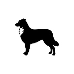 Australian Shepherd Dog Silhouette Isolated on Transparent Background