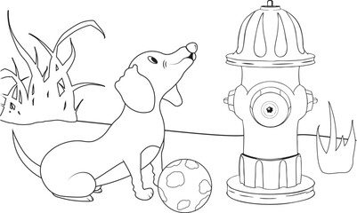 Humorous line art coloring page: a cartoon dachshund dog sits by a fire hydrant and a ball in an funny outdoor vector scene, ready for playful coloring.