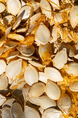 Homemade Sun Dried Pumpkin Seeds Natural