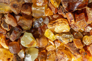 Natural Baltic Amber Stones Close Up