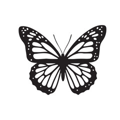 Detailed Black and White Monarch Butterfly Outline Vector White background 