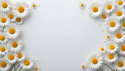 Obraz premium Delicate Daisy Frame: Fresh White Chamomile on a Soft Background