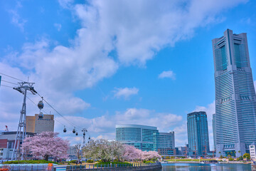 春の神奈川県横浜市の桜咲く汽車道とロープウェイ方面の眺望