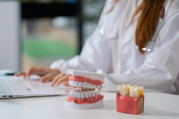 dentists writes reports of working with tooth models and analyzing dental treatments.