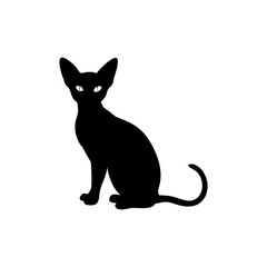 Devon Rex Cat Silhouette  Isolated on Transparent Background
