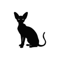 Fototapeta premium Cornish Rex Cat Silhouette Isolated on Transparent Background