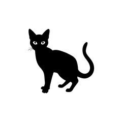 Tonkinese Cat Silhouette  Isolated on Transparent Background