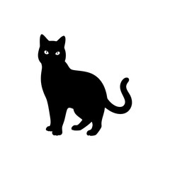 Chartreux Cat Silhouette  Isolated on Transparent Background