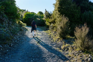 Fototapeta premium Hiking Kowhai Saddle Route on steep gravel path. Kaikoura. Canterbury. South Island.