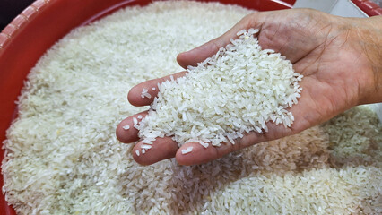 Dry Uncooked White Rice and Women Hand Background. Asian Cuisine and Culture. Healthy Eating Ingredients. Diet Food.