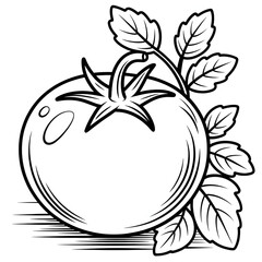 vector illustration of an tomato  coloring page 
