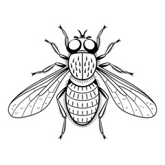 vector illustration of a wasp