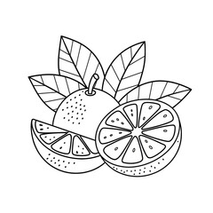 vector illustration of a lemon
