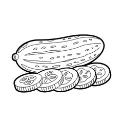 hand drawn vector illustration of cucumber 