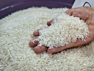 Dry Uncooked White Rice and Women Hand Background. Asian Cuisine and Culture. Healthy Eating Ingredients. Diet Food.