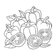 vector illustration of a vegetables
