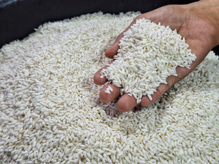 Dry Uncooked White Rice and Women Hand Background. Asian Cuisine and Culture. Healthy Eating Ingredients. Diet Food.