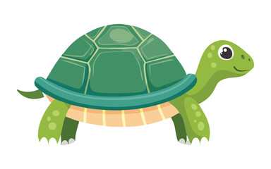 Cute Green Turtle on White Background