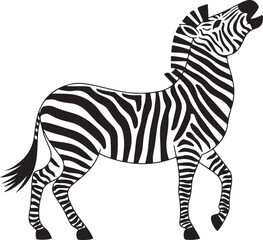 zebra vector illustration