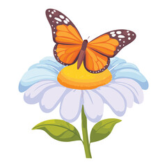 Orange Butterfly on White Daisy