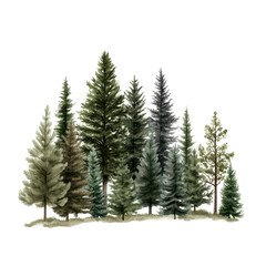 Obraz premium Group of evergreen trees in varying shades of green on transparent background