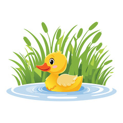 Cute Baby Duck Swimming in Lake