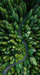 Aerial view of a winding road cutting through a dense, vibrant green forest, creating a striking contrast between nature and man made infrastructure
