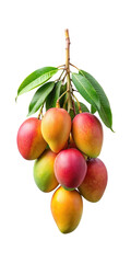 Obraz premium Bunch of fresh, ripe mangoes on a branch against a white background