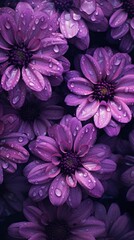 Obraz premium Flower purple nature petal.