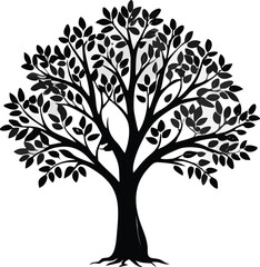 Obraz premium Eucalyptus trees icon set on white background. Stylized olive tree with lush green leaves. Decorative Stylized Tree Vector Set – Colorful Seasonal Trees with Leaves and Fruit for Nature vector design.