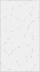 Elegant white marble texture with subtle gray veining for interior design and screen backgrounds