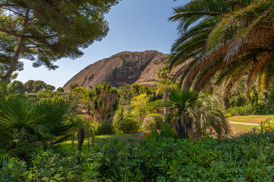Massif du Bec de l&rsquo;Aigle et v&eacute;g&eacute;tation exotique au Parc du Mugel, &agrave; La Ciotat, dans les Bouches-du-Rh&ocirc;ne, France