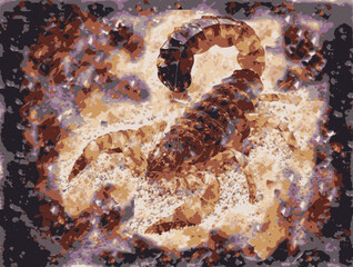 Un escorpio en la arena , escorpio, 10 colores