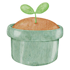 Young sprout in a flowerpot watercolor illustration