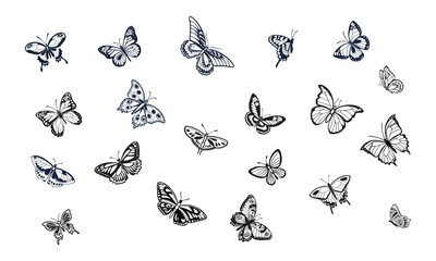 Fototapeta premium Butterfly vector silhouette design, white background