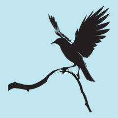 black silhouette of a bird side view isolated