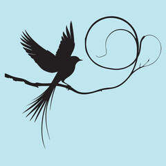 black silhouette of a bird side view isolated