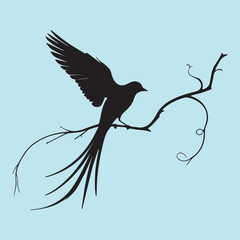 black silhouette of a bird side view isolated