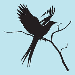black silhouette of a bird side view isolated
