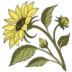 set of yellow flowers