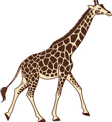 giraffe vector illustration