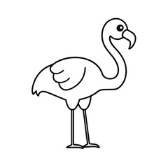 A Flamingo Who Wants to Be a Bodybuilder