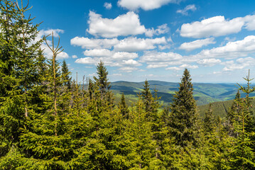 Springtime in Jeseniky mountains in Czech republic