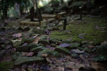 Ancient moss-covered grave in a tranquil forest cemetery in Java, Indonesia. A serene, sacred site surrounded by nature and history. Spiritual, mysterious, and peaceful atmosphere